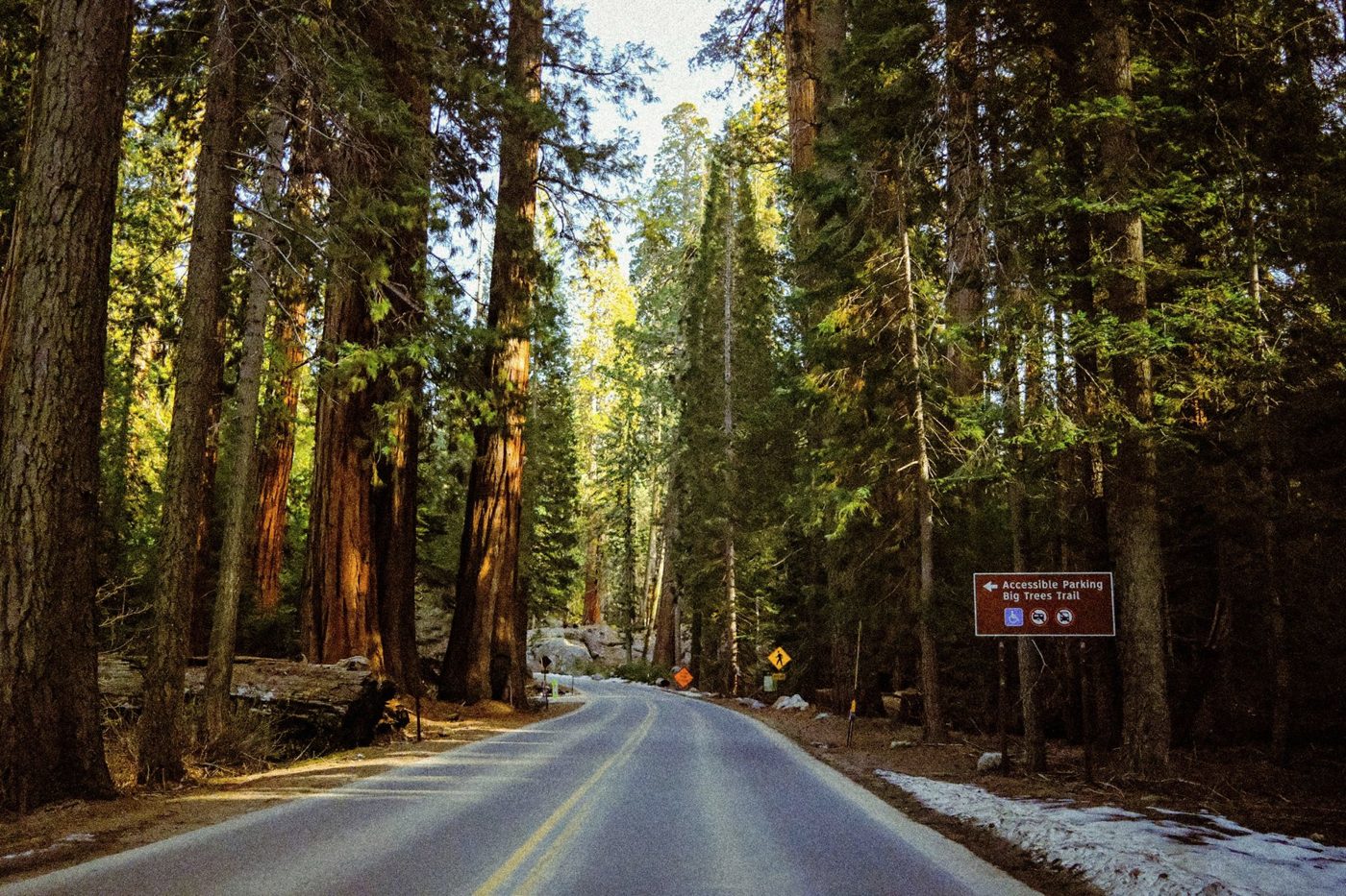 Estrada entre sequoias gigantes, Sequoia National Park