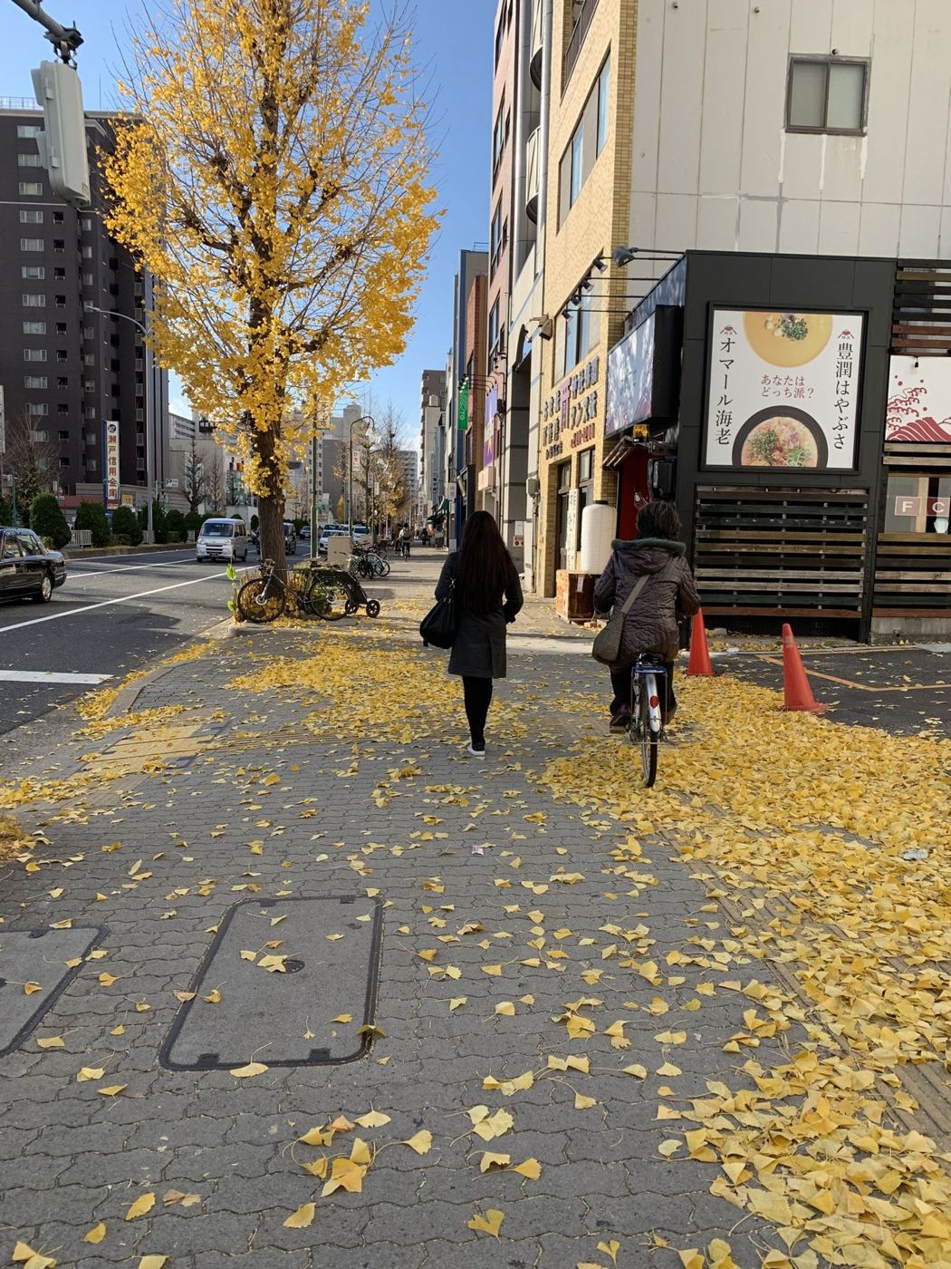 Calçada coberta de folhas de ginkgo