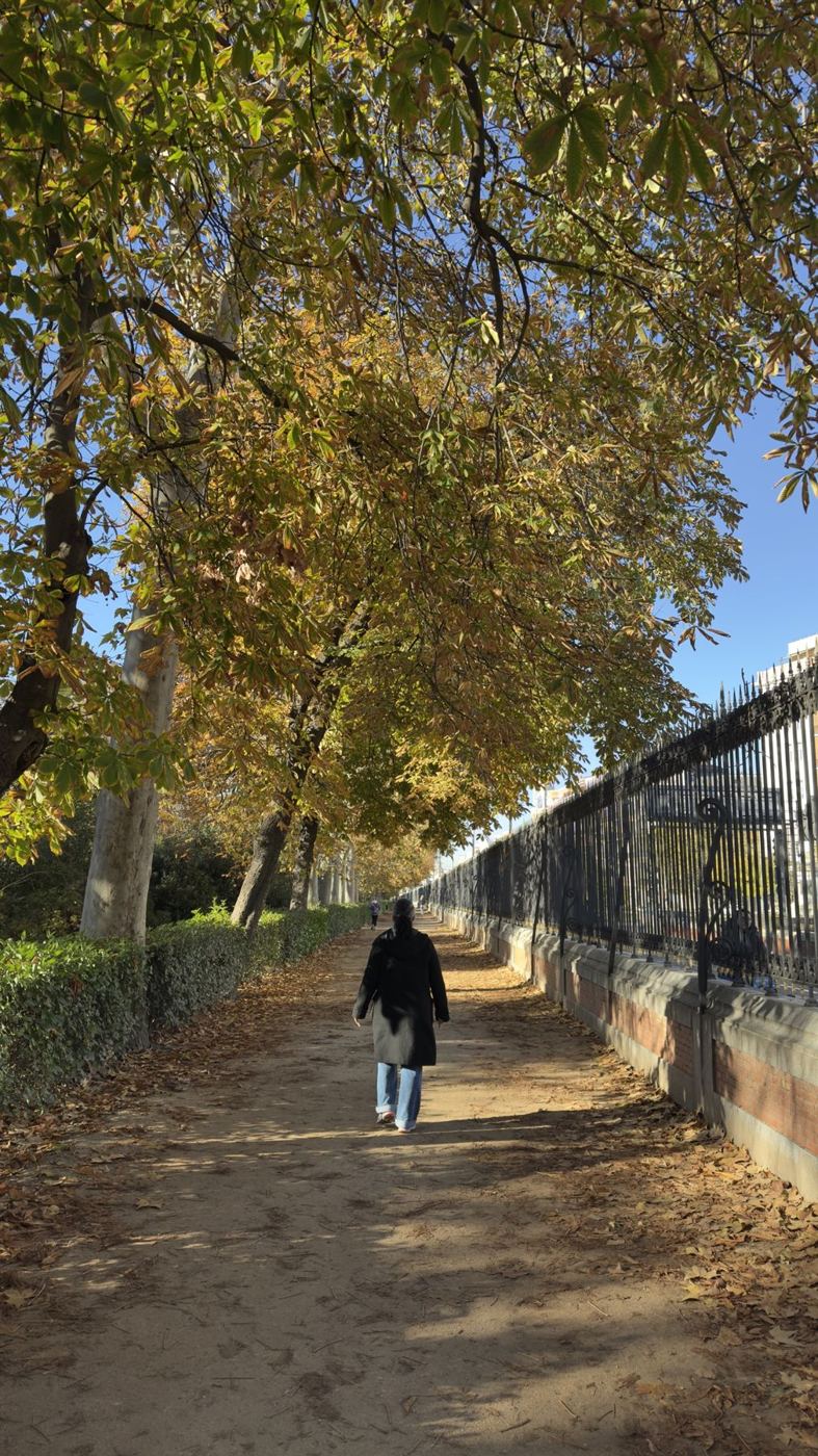 Alameda de outono com viajante de costas, em Madri