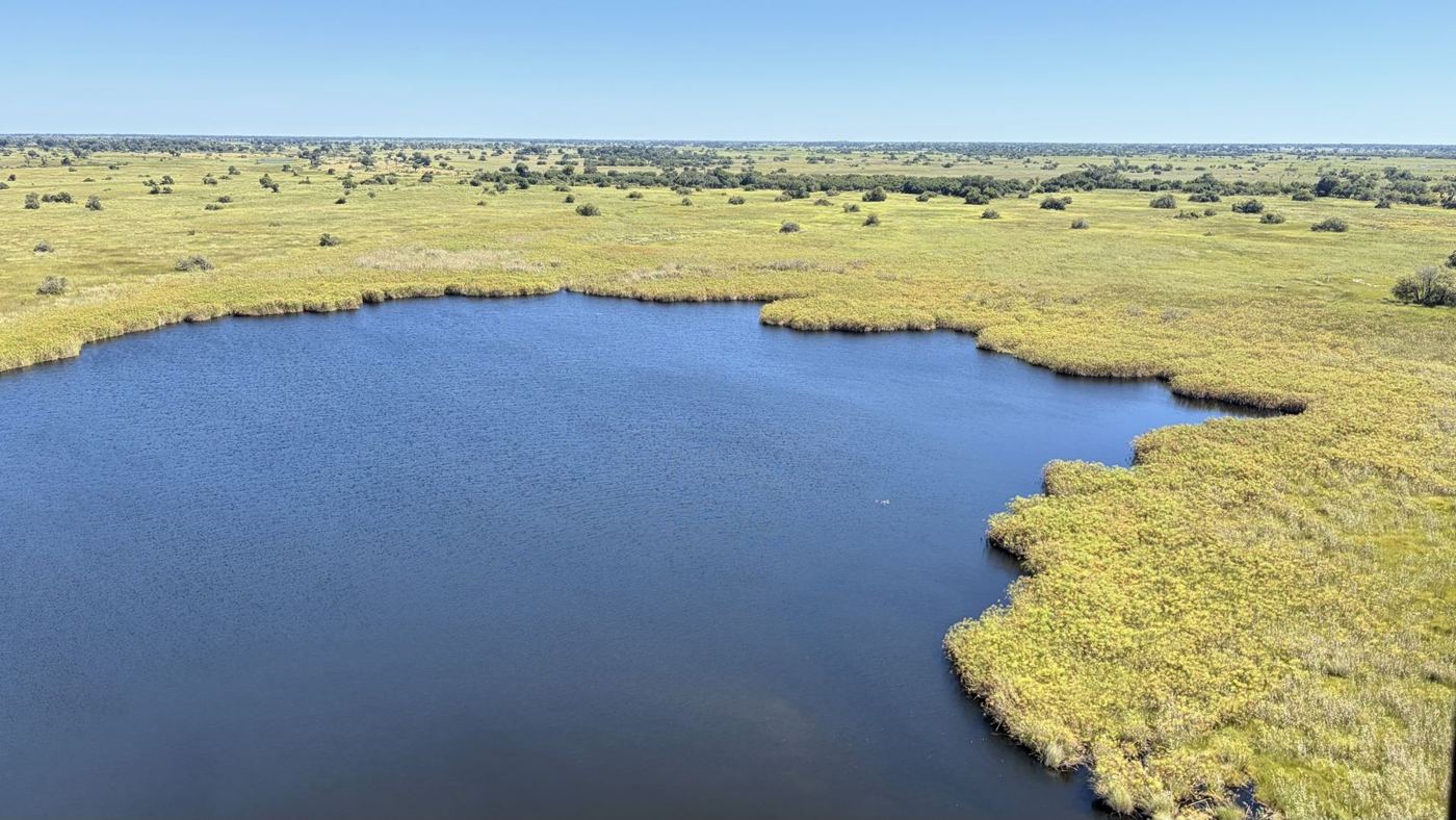 Vista aérea: lagoa azul no verde do delta